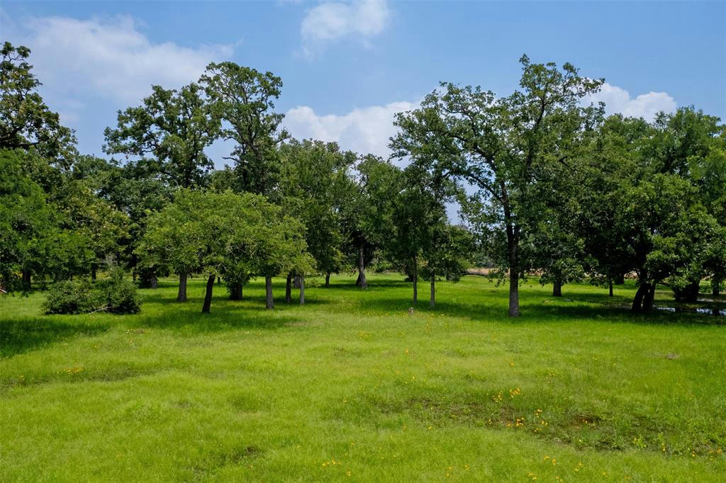 TBD THORNBERRY DRIVE, SOMERVILLE, TX 77879, photo 1 of 6
