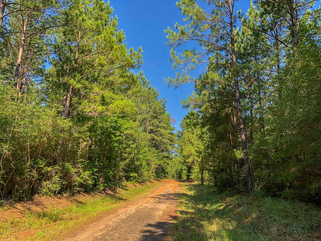 0 CR 366/CR 368, ZAVALLA, TX 75980, photo 1 of 15