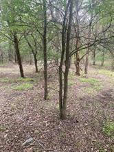 LOT 143 SEC 2 COMMANCHE RD, SMITHVILLE, TX 78957, photo 3 of 5