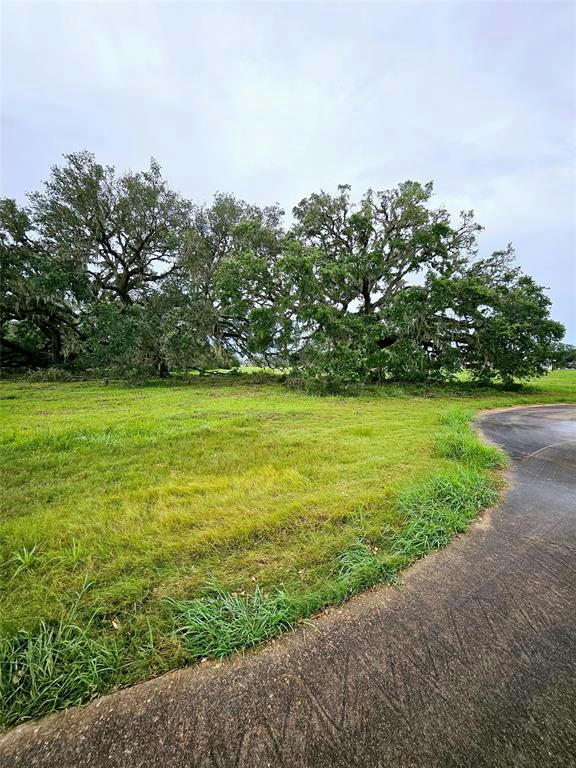 567 SIX GUN TRL, ANGLETON, TX 77515, photo 1 of 4