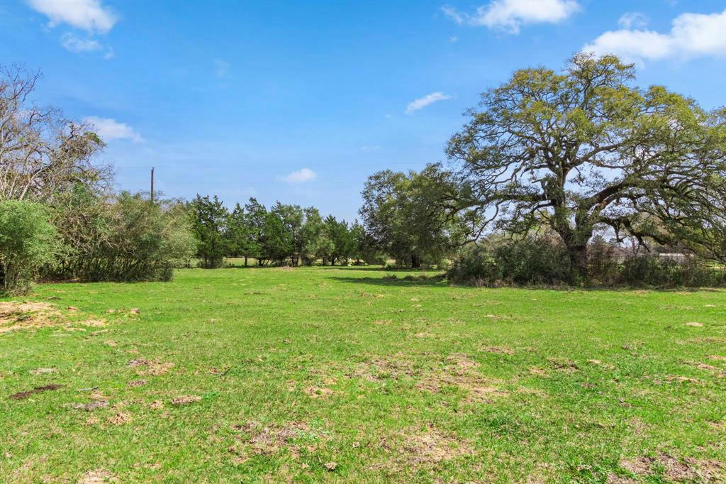 TBD PINEY WOODS RD, ALLEYTON, TX 78935, photo 1 of 11