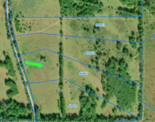 TBD COUNTY ROAD 3385, LOVELADY, TX 75851 - Image 1