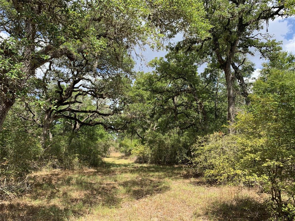 TBD PRIVATE ROAD 1581, HALLETTSVILLE, TX 77964, photo 1 of 27