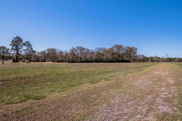 LOT 7 NEW ORLEANS AVENUE, TRINITY, TX 75862, photo 3 of 22