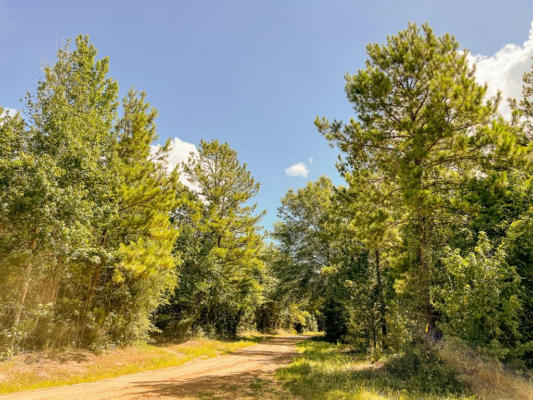 0 CR 366/CR 368, ZAVALLA, TX 75980, photo 2 of 15