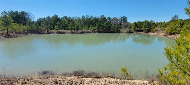 TBD FM 3011, NECHANITZ, TX 78946 - Image 1