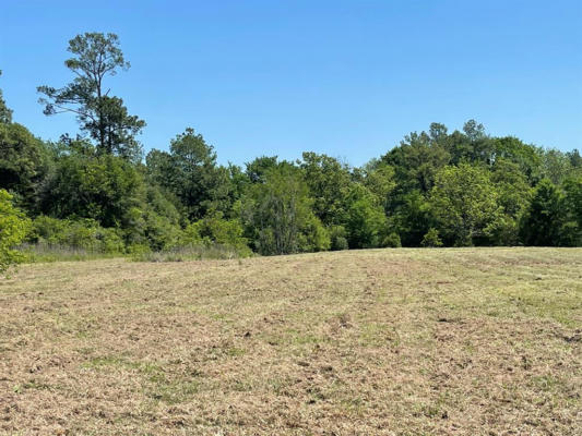 11243 STATE HIGHWAY 19 S, LOVELADY, TX 75851, photo 2 of 3