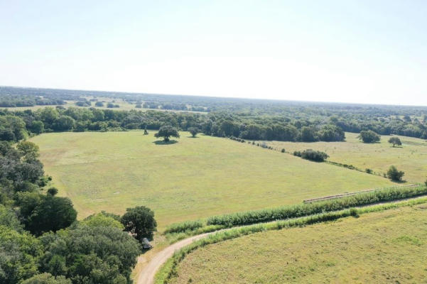 1375 COUNTY ROAD 234B, HALLETTSVILLE, TX 77964 - Image 1