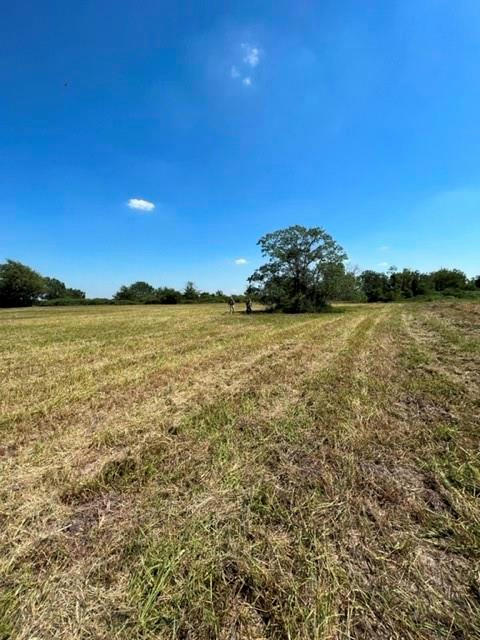 TRACT 11 CONNOR AVE, EAGLE LAKE, TX 77434, photo 1 of 3