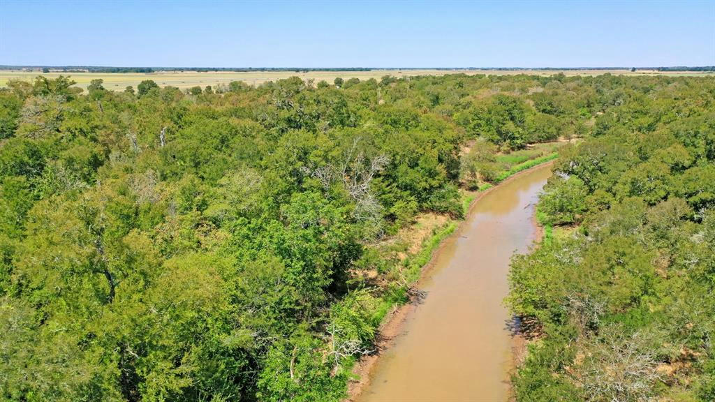 123.8 AC COUNTY ROAD 443, SNOOK, TX 77878, photo 1 of 32