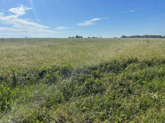 LOT 12 CANEY CREEK, CHAPPELL HILL, TX 77426 - Image 1