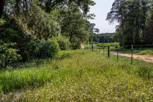 TBD (15.682 ACRES) STOCKADE RANCH ROAD, PAIGE, TX 78659, photo 5 of 37