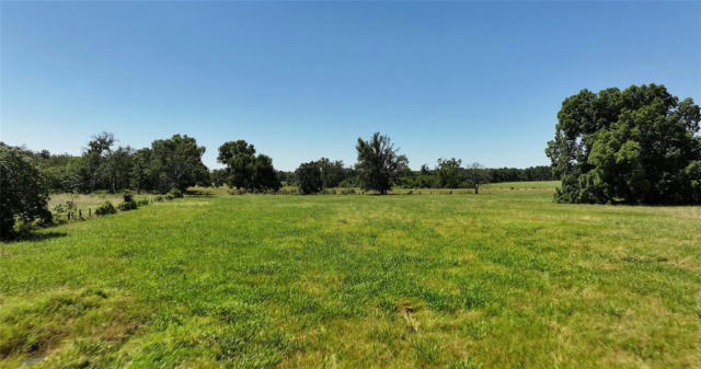 LOT 85 COUNTY RD 231, CENTERVILLE, TX 75833, photo 5 of 9