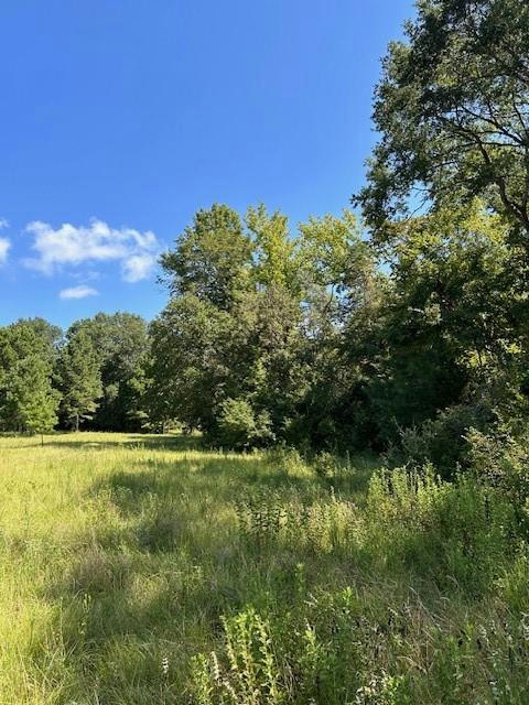 TBD COUNTY ROAD 1755 ANDERSON CO, GRAPELAND, TX 75844, photo 1 of 20