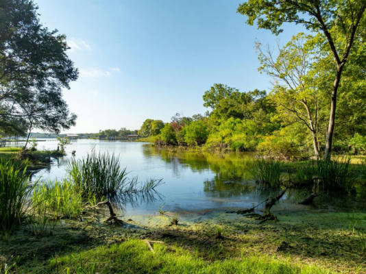 TBD COUNTY ROAD 750, THORNTON, TX 76687 - Image 1