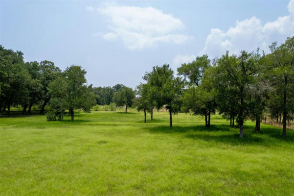 TBD THORNBERRY DRIVE, SOMERVILLE, TX 77879, photo 2 of 6