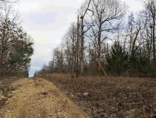 LOT 4 STONE CREEK DRIVE, OTHER, AR 72542, photo 2 of 6