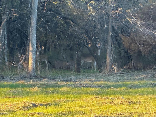 LOT 6 GRISON CIRCLE, CORSICANA, TX 75109, photo 3 of 7