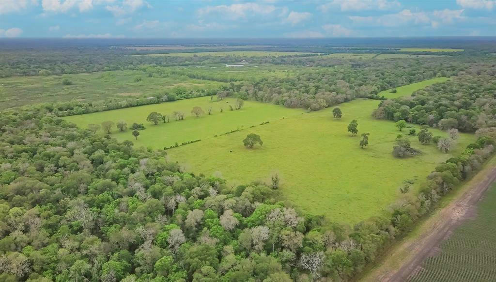 0 COUNTY ROAD 647 OFF PVT ROAD, GUY, TX 77444, photo 1 of 18