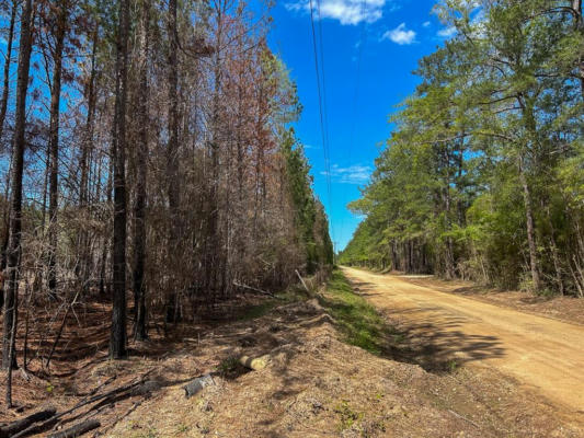 0 365 COUNTY ROAD 4520, WARREN, TX 77664, photo 3 of 5