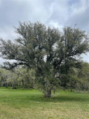 212 RIVER TREE DR, PALACIOS, TX 77465, photo 4 of 8