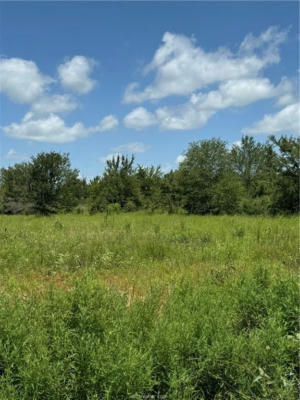 TBD FM 1696, BEDIAS, TX 77831, photo 3 of 6