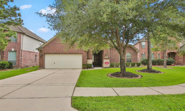13420 GREAT CREEK DR, PEARLAND, TX 77584, photo 3 of 35