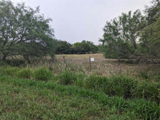 LOT 1 CR 418, PREMONT, TX 78375, photo 3 of 7