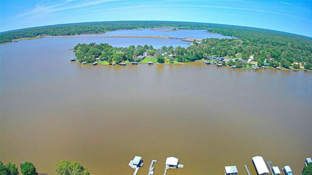 LOTS 29 & 30 DOVE ISLAND, LIVINGSTON, TX 77351, photo 3 of 7