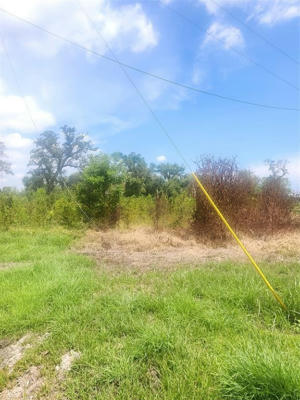 0 COUNTY RD 506, BRAZORIA, TX 77422, photo 4 of 6