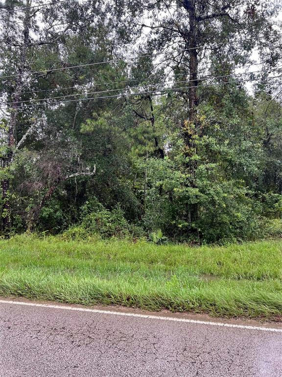 TBD E RIVER ROAD, SPLENDORA, TX 77372, photo 1 of 4