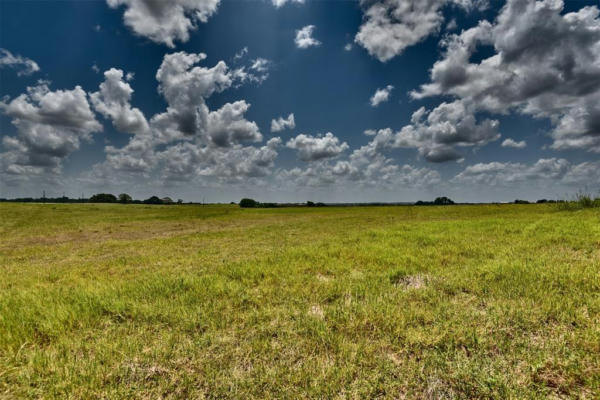 TBD PACEN PLACE - LOT 3, CHAPPELL HILL, TX 77426, photo 4 of 20