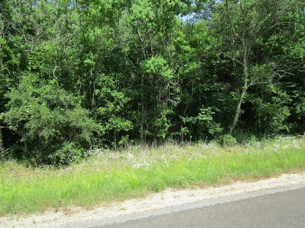 0 HWY 146 N WEST LOT, LIBERTY, TX 77575, photo 1 of 2