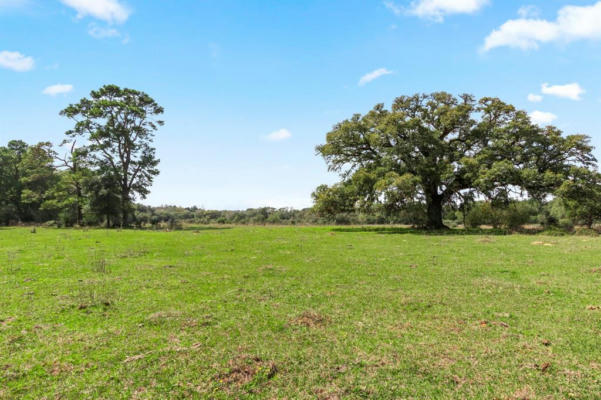 000 FRELSBURG ROAD, ALLEYTON, TX 78935, photo 2 of 19