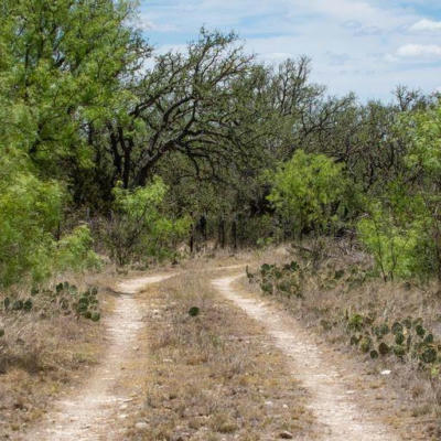 0 STARKS ROAD, MASON, TX 76856, photo 5 of 34