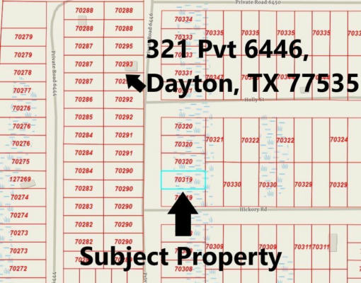 1 PRIVATE ROAD 6446, DAYTON, TX 77535, photo 3 of 8