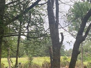 LOT 143 SEC 2 COMMANCHE RD, SMITHVILLE, TX 78957, photo 5 of 5