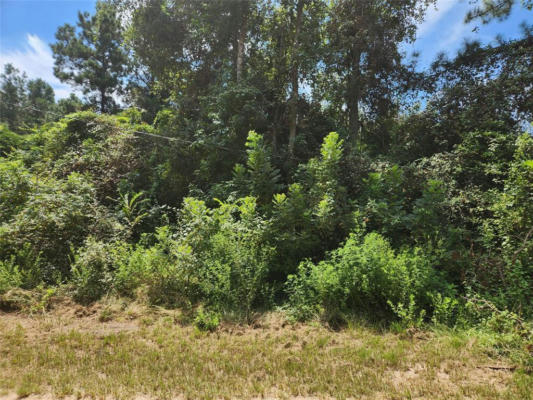 LOT 26 MAYHAW LANE, PLANTERSVILLE, TX 77363 - Image 1