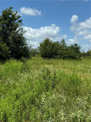 TBD FM 1696, BEDIAS, TX 77831, photo 2 of 6