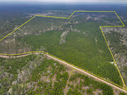 0 FOREST SERVICE ROAD 503, KENNARD, TX 75847 - Image 1