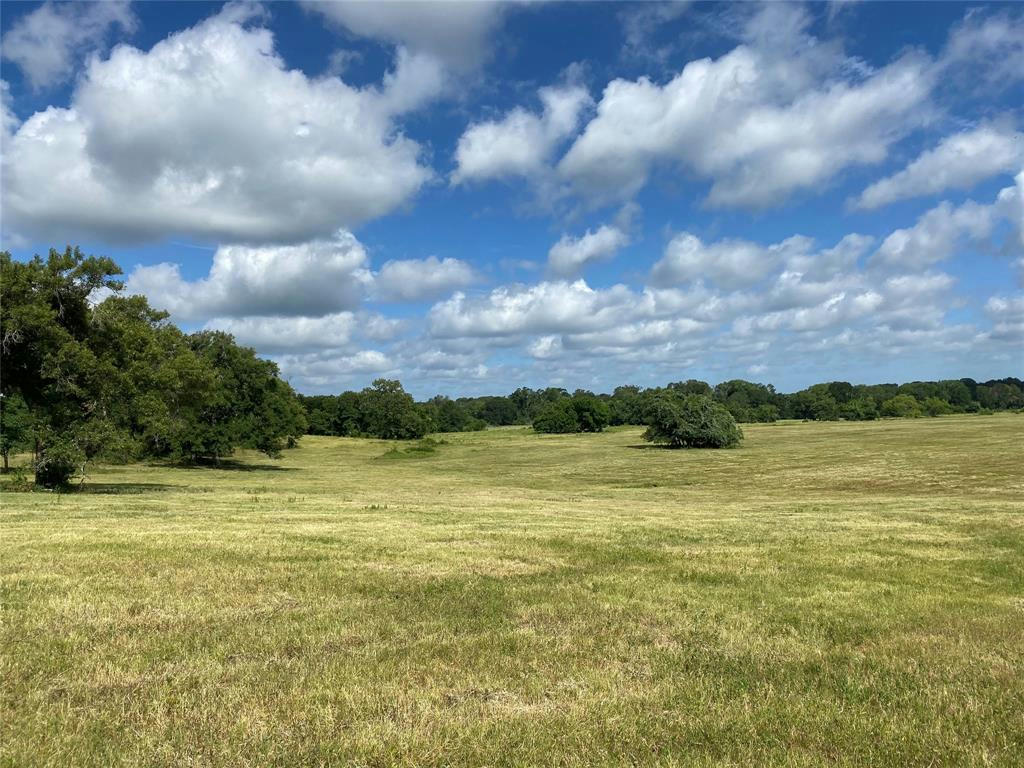 98.88 +/- ACRES W SIDE OF I-45, CENTERVILLE, TX 75833, photo 1 of 50