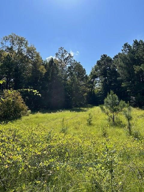 TBD COUNTY ROAD 1755 HOUSTON CO, GRAPELAND, TX 75844, photo 1 of 22