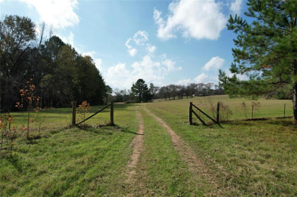 TBD COUNTY RD 1585, GRAPELAND, TX 75844, photo 2 of 21