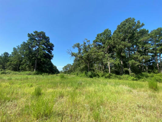 LOT 8 COUNTY ROAD 114, CENTERVILLE, TX 75833 - Image 1
