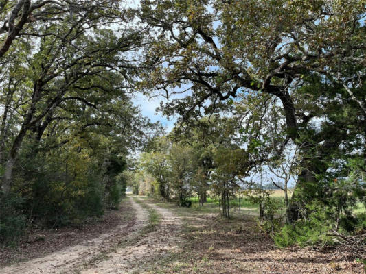 4311 COUNTY ROAD 127, LEDBETTER, TX 78946 - Image 1