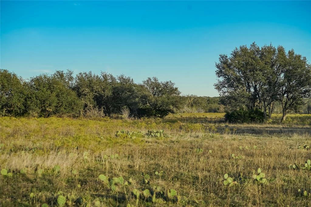 12570 HWY 195, FLORENCE, TX 76527, photo 1 of 10