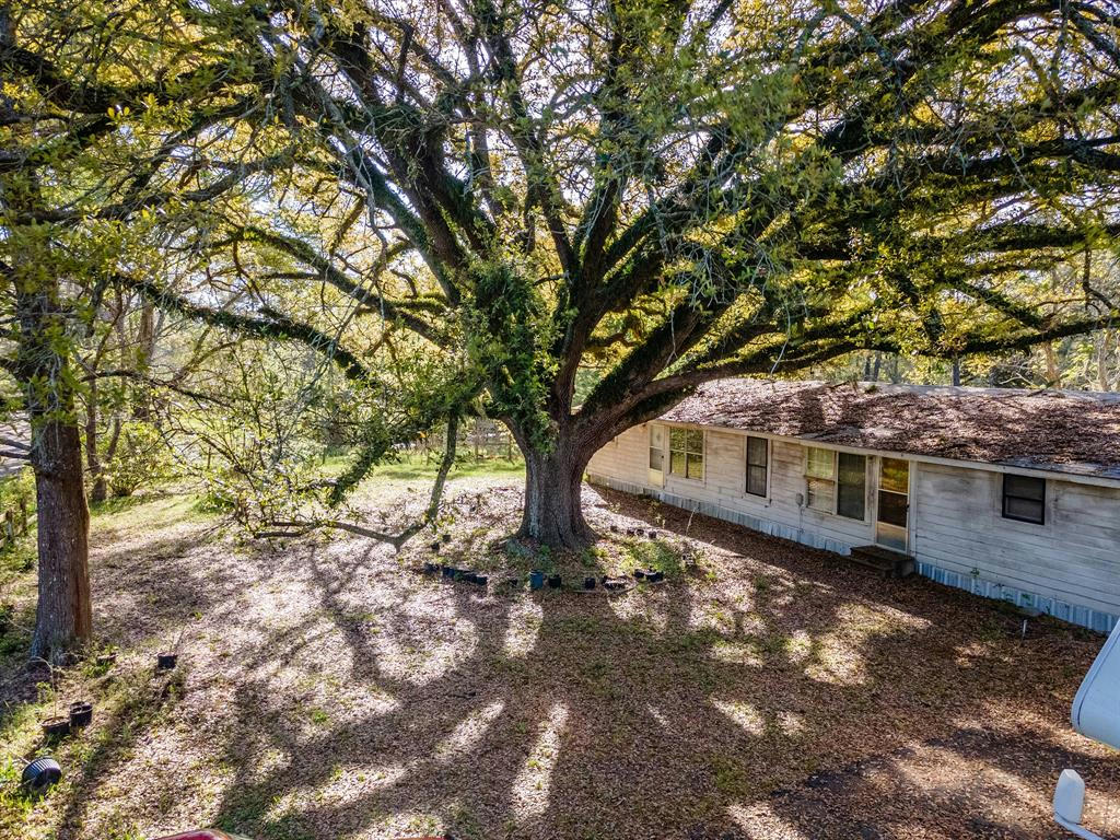 588 LINVILLE GRIMES RD, DIBOLL, TX 75941, photo 1 of 15