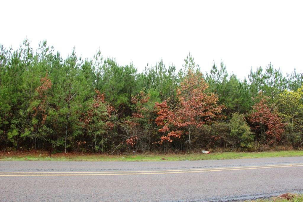 0 FM1751, SAN AUGUSTINE, TX 75972, photo 1 of 6