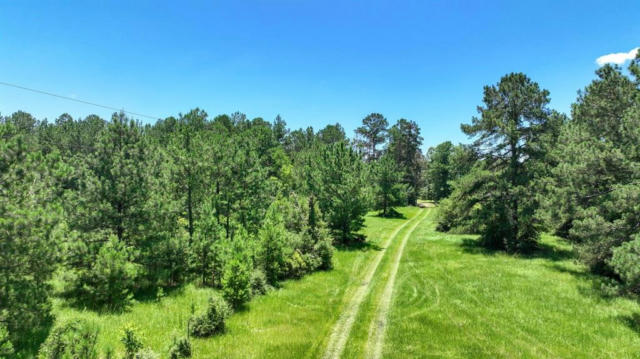 TBD 1 COUNTY ROAD 4390 ROAD, HILLISTER, TX 75979 - Image 1