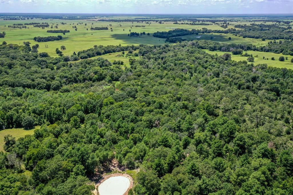 20.02 ACRES RANCHES AT LONE STAR RIDGE, LOVELADY, TX 75851, photo 1 of 20